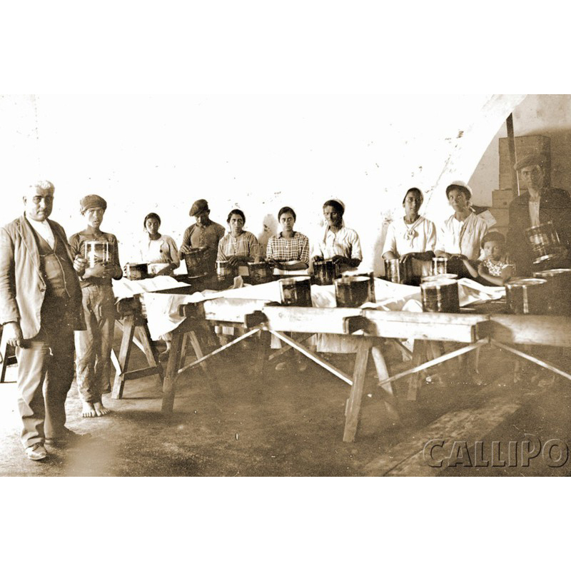 DGT_G_Callipo_05_quadrata