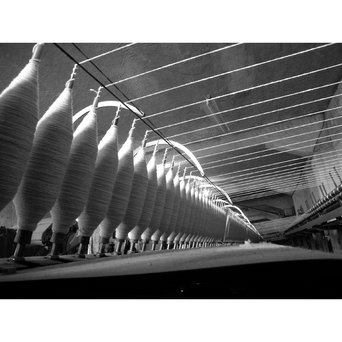 DGT_G_Lanificio_Leo_04_quadrata