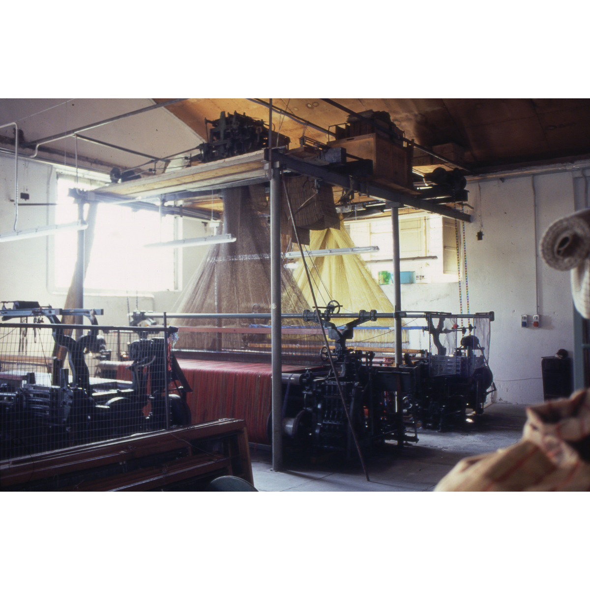 DGT_G_Lanificio_Leo_08_quadrata