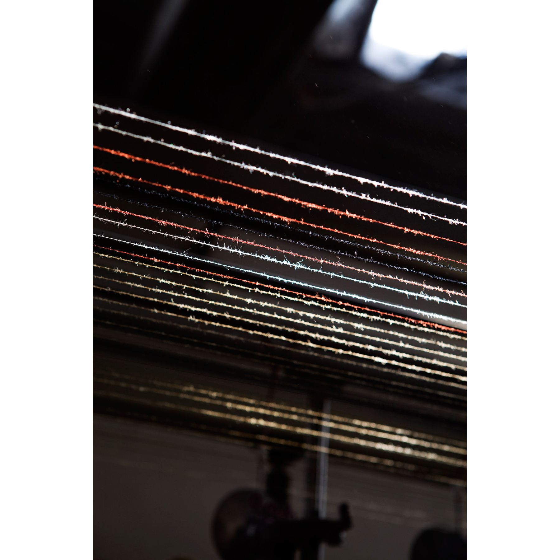 DGT_G_Torri_Lana_10_quadrata