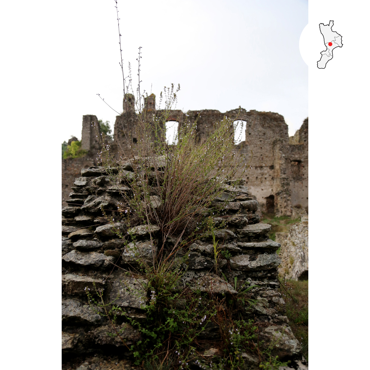 territorio_corazzo